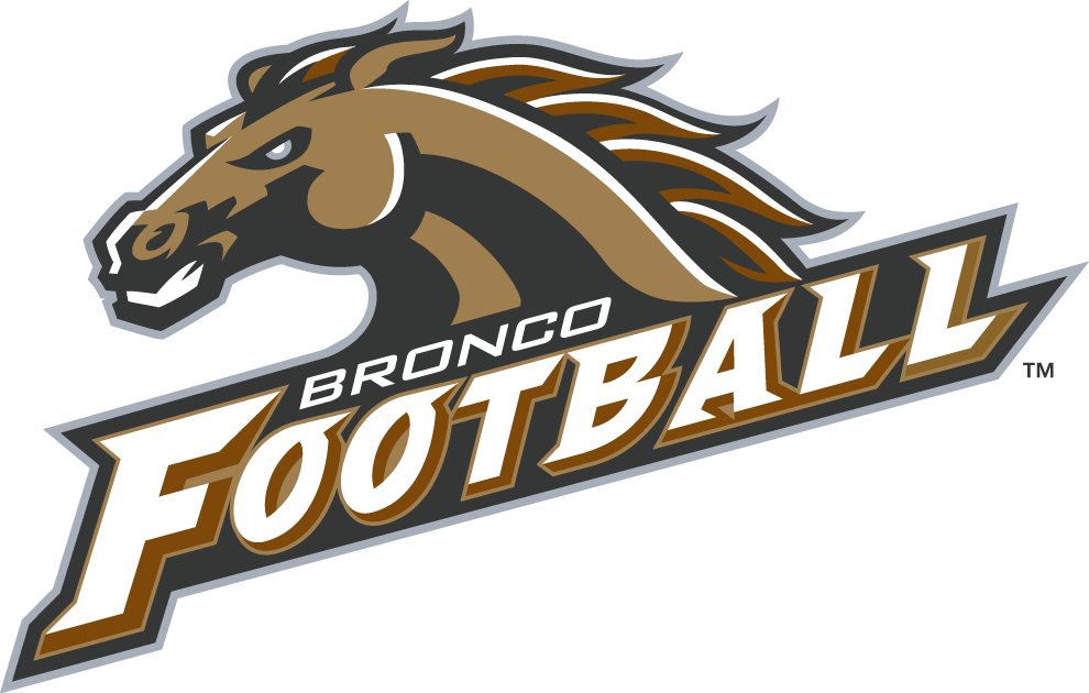 Western Michigan Broncos 1998-Pres Alternate Logo iron on transfers for fabric